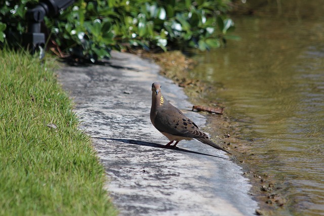 字而在于系
